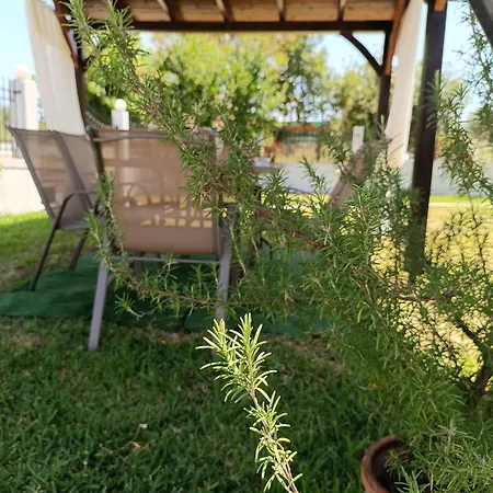 Evi's * Ormos Panagias