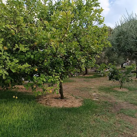 Evi's Case de vacanță Ormos Panagias
